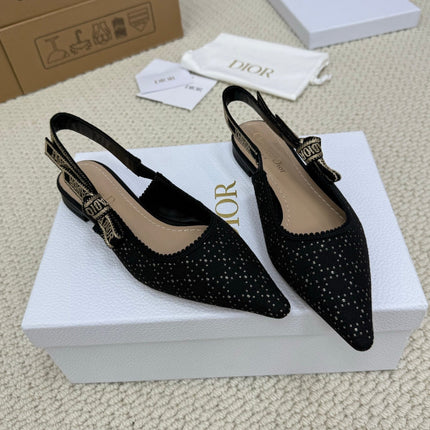 Collection image for: DIOR FLATS